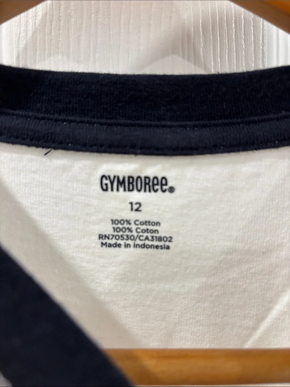 Gymboree White Long Sleeve Tee with Layered Look Sleeves and Dinosaur Graphic